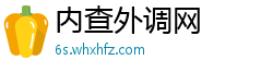 内查外调网